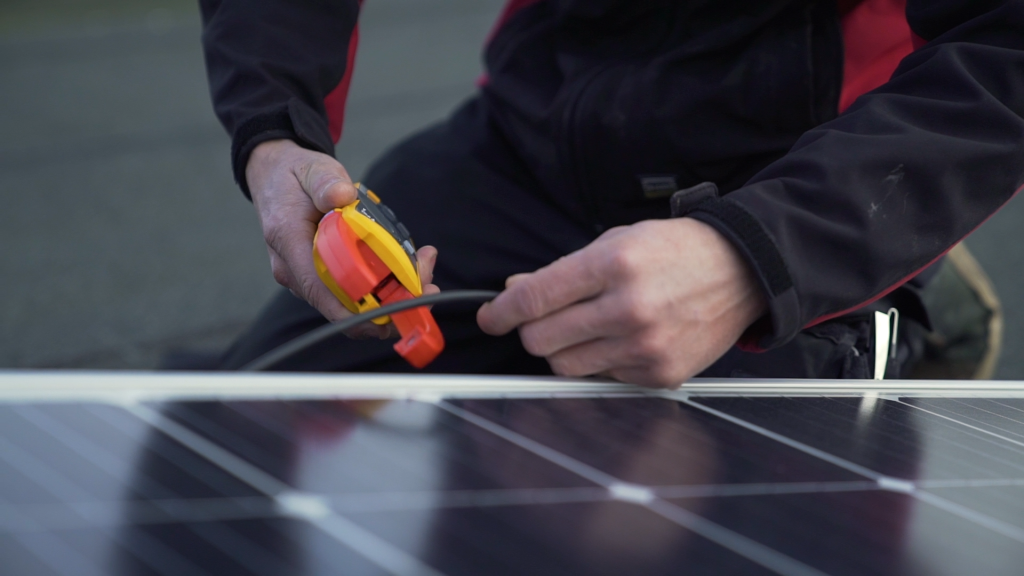 Tang bij zonnepanelen